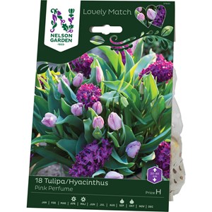 Höstlök Nelson Garden Tulpan/Hyacint LM Pink Perfume