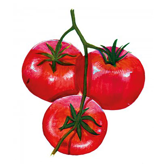 Tomat 'Stupice'