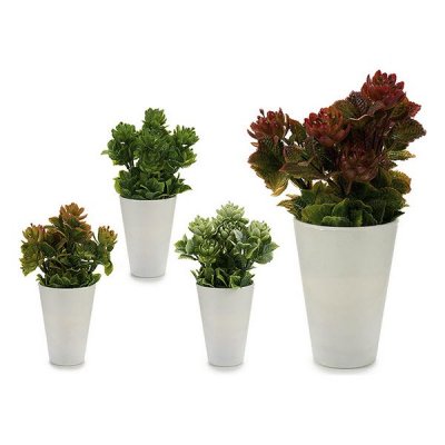 Dekorativ växt Vit Plast (10 x 22 x 10 cm)