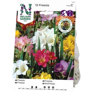 Vårlök Nelson Garden Freesia Enkel, Blandade färger