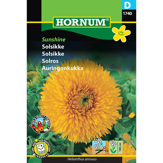 Solros 'Sunshine'