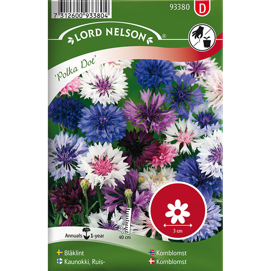 Blåklint 'Polka Dot'