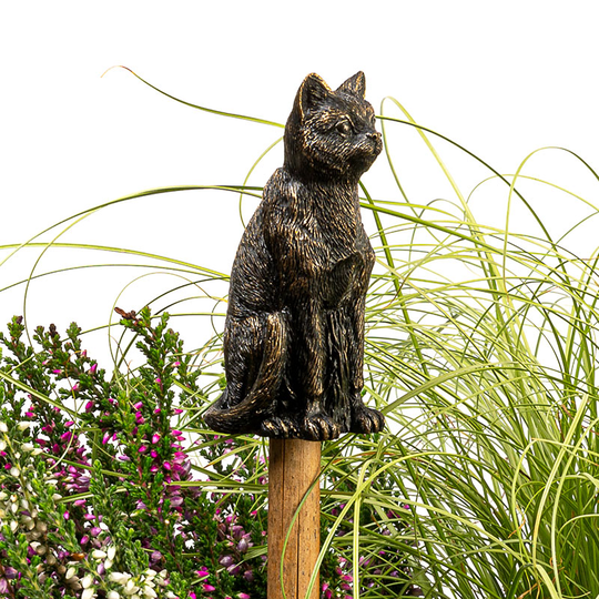 Trädgårdsknopp Katt