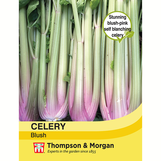Blekselleri 'Self-Blanching Blush'