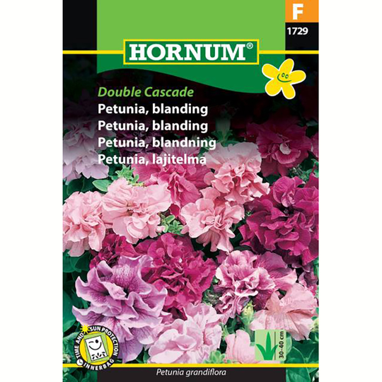 Petunia 'Double Cascade'