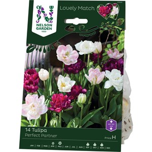 Höstlök Nelson Garden Tulpan LM Pretty Partners
