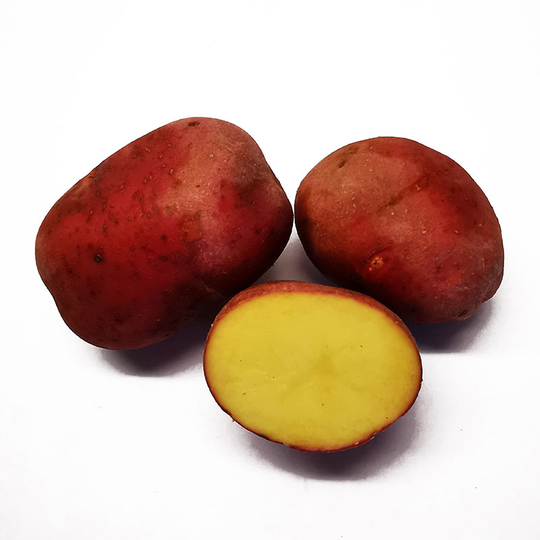 Labella, sättpotatis