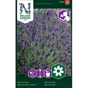 Fröer Nelson Garden Lavendel