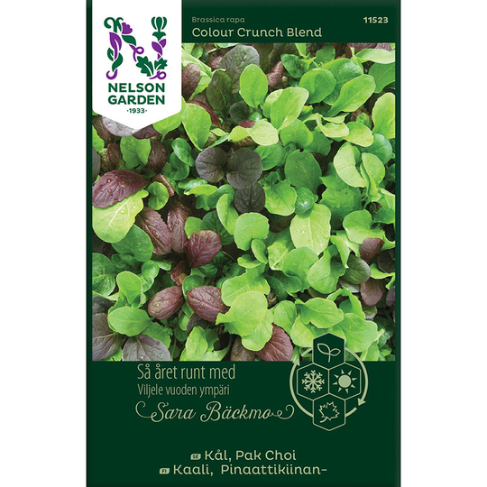 Pak Choi, Colour Crunch Blend