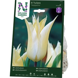 Liljetulpan Nelson Garden Sapporo Vit/Kräm