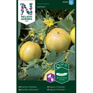 Fröer Nelson Garden Äppelgurka Lemon