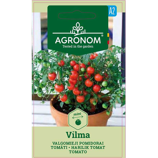 Tomat 'Vilma'