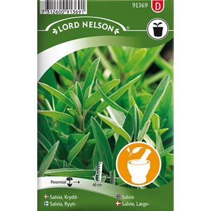 Fröer Nelson Garden Salvia Krydd-