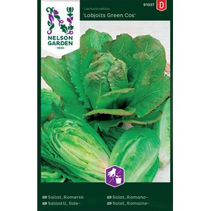 Fröer Nelson Garden Sallat Romersk Lobjoits Green Cos