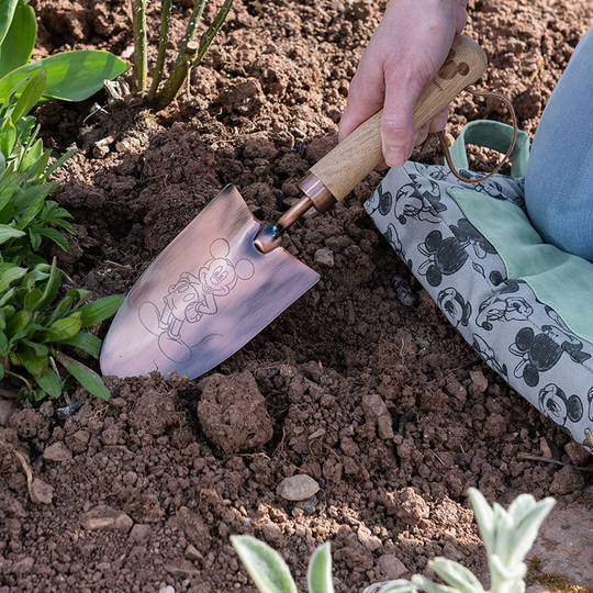 Handspade, Mickey & Minnie kopparfinish