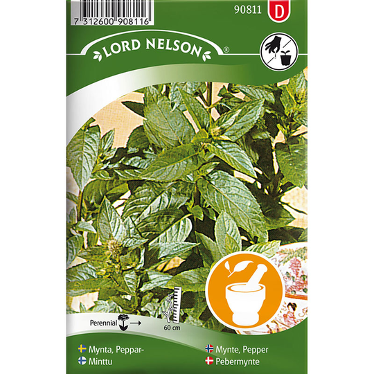 Pepparmynta