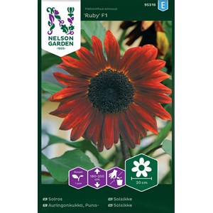 Fröer Nelson Garden Solros Ruby F1 Hög