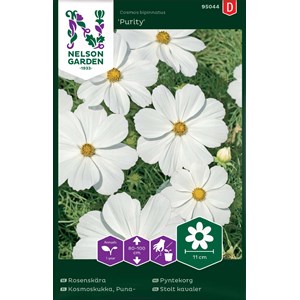 Fröer Nelson Garden Rosenskära Purity Vit