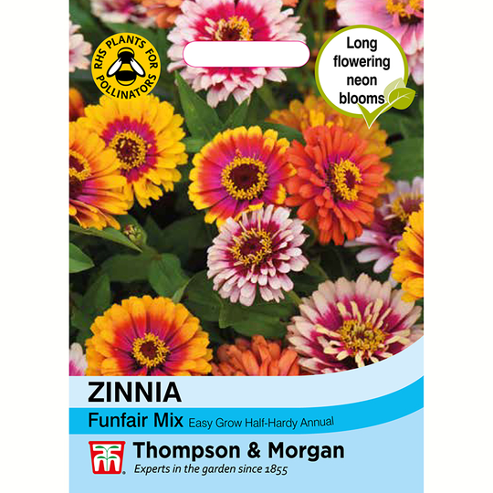 Zinnia 'Funfair', mix