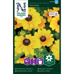 Fröer Nelson Garden Sommarrudbeckia Toto Gold
