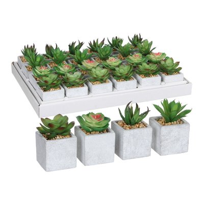 Dekorativ växt Mica Decorations 8 x 5 cm PVC Suckulent