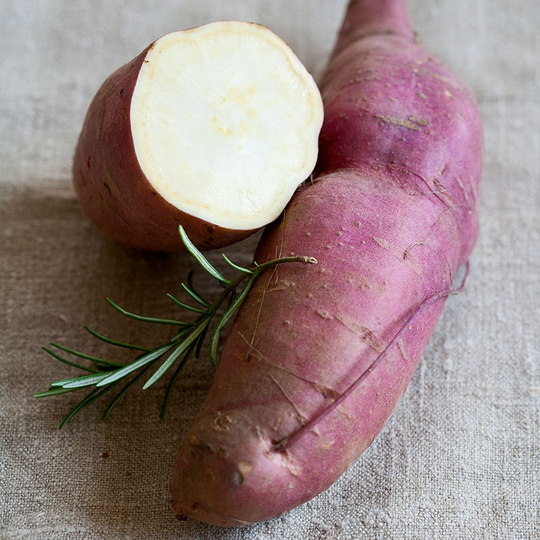 Sötpotatis 'Erato White', 3-pack