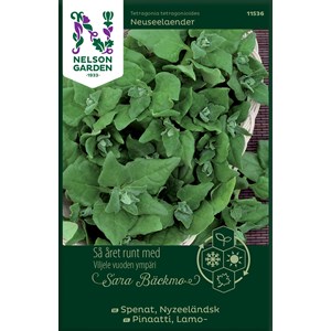 Fröer Nelson Garden Sara Bäckmo Nyzeeländsk Spenat
