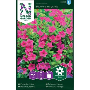 Fröer Nelson Garden Petunia Häng- Showers Burgundy