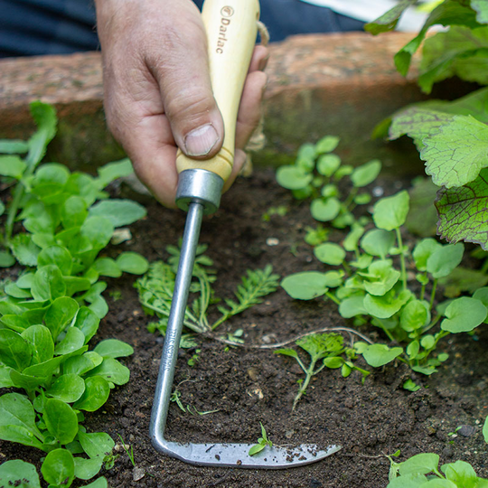 Ogräsrensare Cape Cod Weeder, bambu
