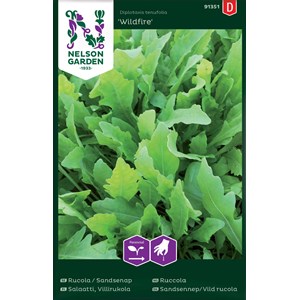 Fröer Nelson Garden Rucola / Sandsenap Wildfire