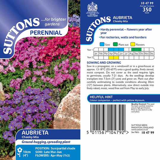 Aubretia 'Cheeky Mix'