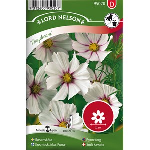 Fröer Nelson Garden Rosenskära Daydream