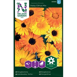 Fröer Nelson Garden Ringblomma Daisy Citrus Mix Låg