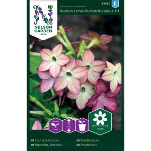 Fröer Nelson Garden Blomstertobak Avalon Lime/Purple F1