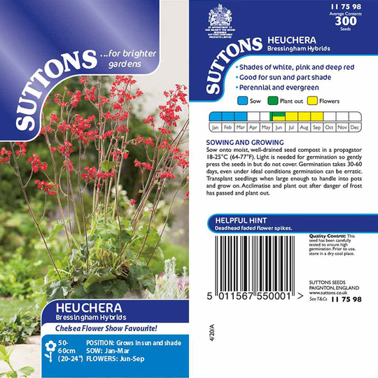 Blodalunrot 'Bressingham Hybrids'