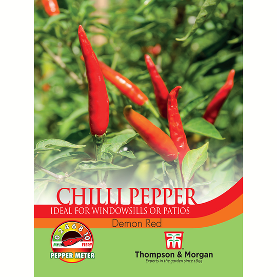 Chilipeppar 'Demon Red'