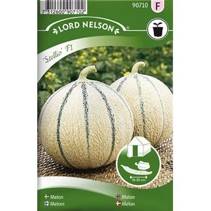 Fröer Nelson Garden Melon Stellio F1