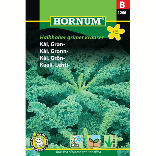 Grönkål 'Halbhoher grüner krauser'