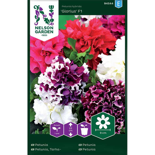 Petunia 'Glorious' F1, mix