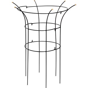 Buskstöd Pion Svart, 80 cm