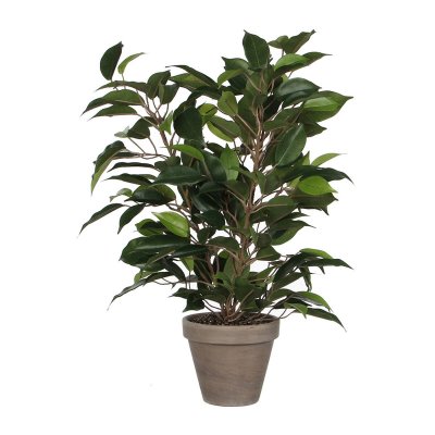 Dekorativ växt Mica Decorations 40 x 30 cm Keramik PVC Fikon