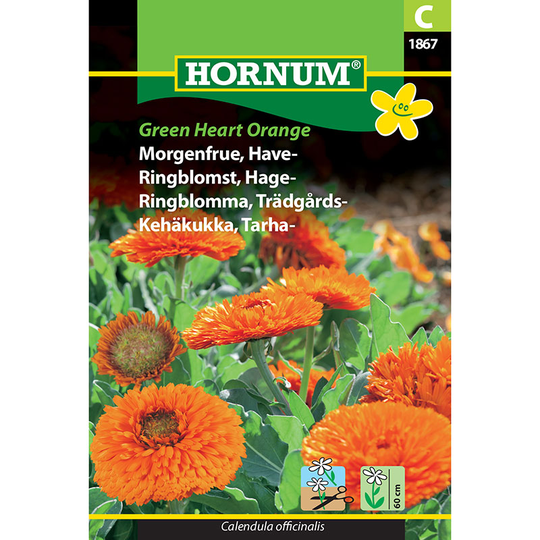 Ringblomma 'Greenheart Orange'