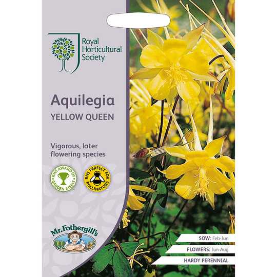 Guldakleja 'Yellow Queen'
