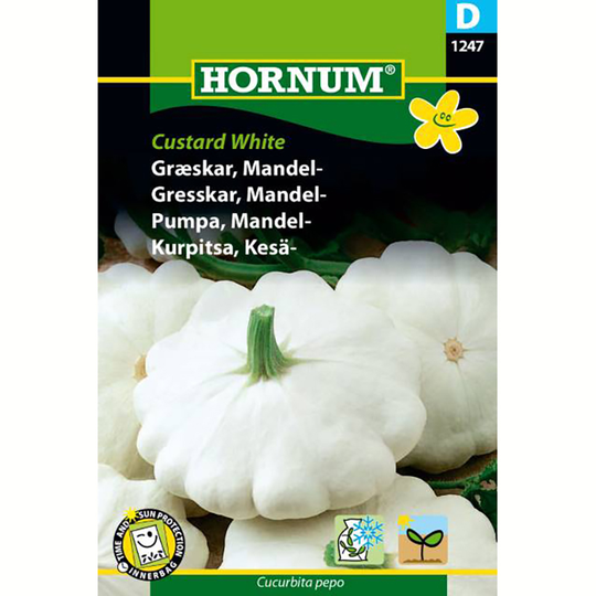 Mandelpumpa 'Custard White'