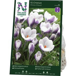 Höstlök Nelson Garden Blå Bägarkrokus Prins Claus