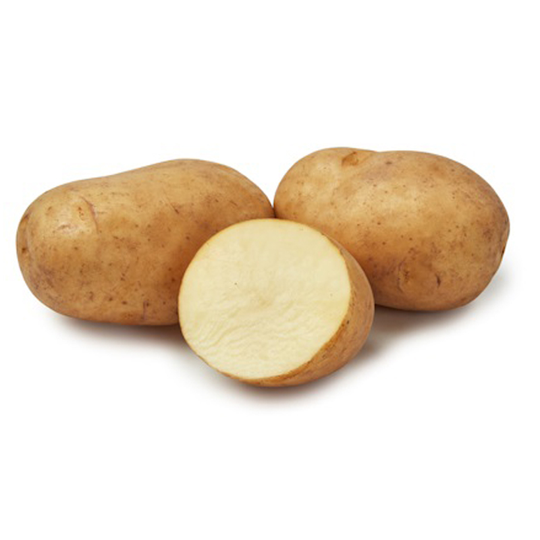 Early Puritan, sättpotatis
