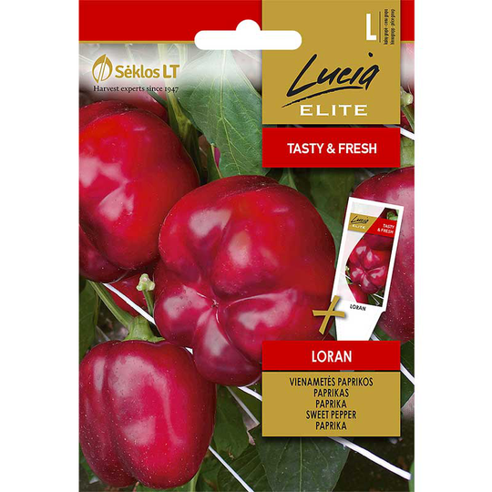 Paprika 'Loran'