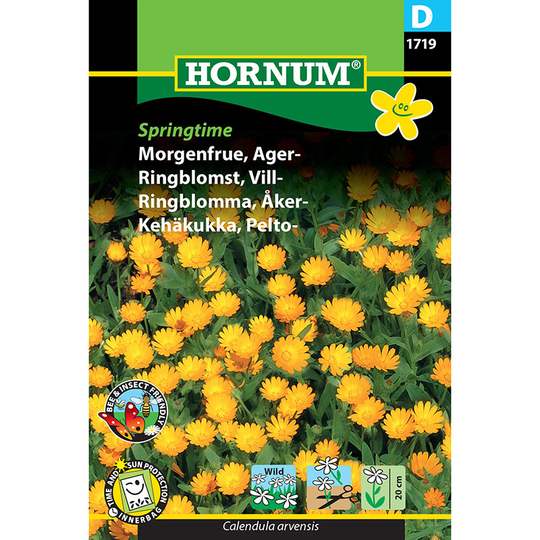 Åkerringblomma Springtime