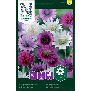 Fröer Nelson Garden Pappersblomster Blandade Färger