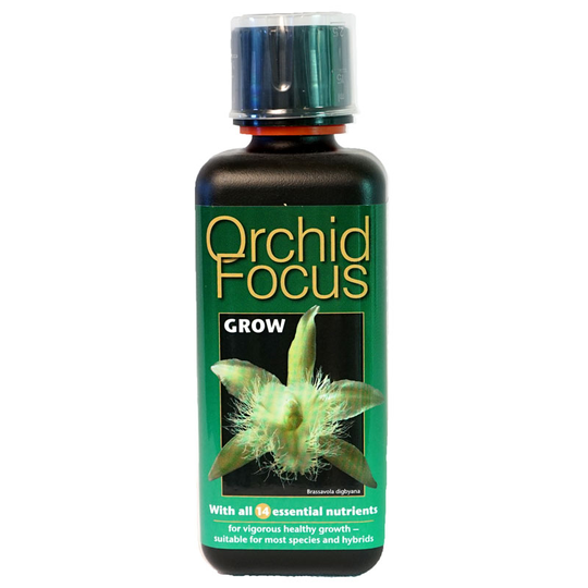 Orkidenäring, Orchid Focus Grow, 300 ml
